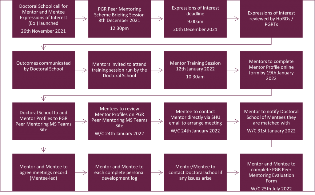 Image depicts the different steps and deadlines involved in this year's Peer Mentoring Scheme