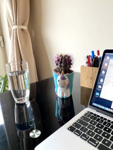 Desk with plant laptop and water
