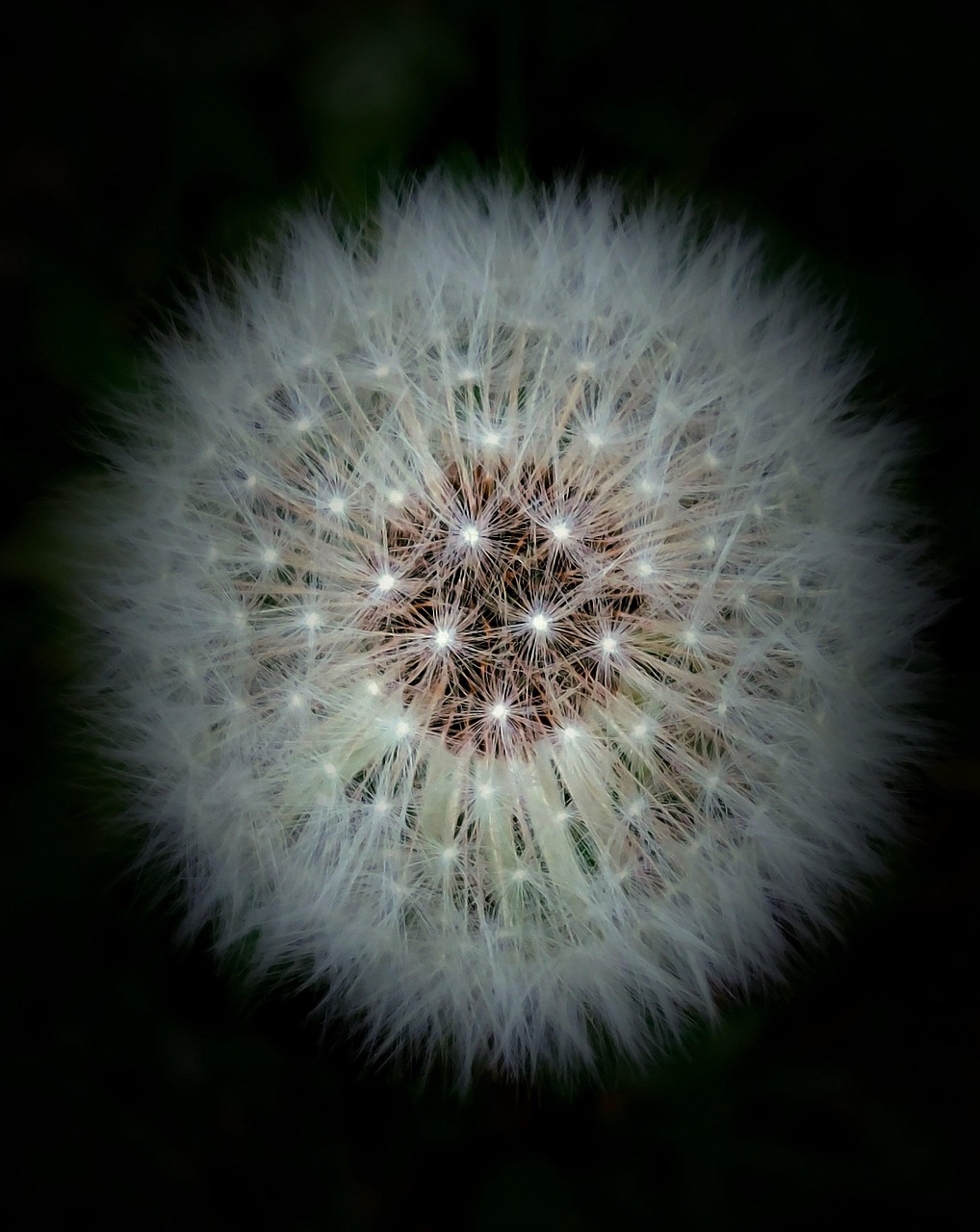 A reflection for World Menopause Day