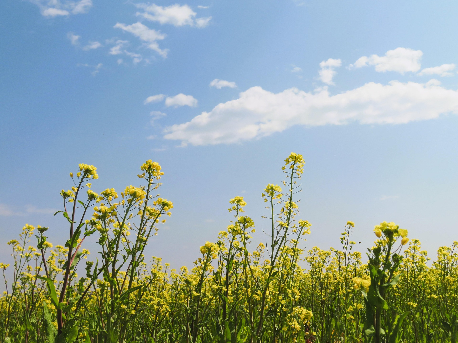 Resituating the narrative in Neurodiversity Week