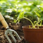 o-GARDENING-TOOL-facebook